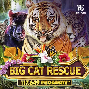 Redtiger : Big Cat Rescue Megaways - NEXTSLOT777
