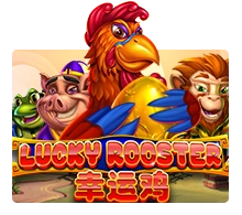 Lucky Rooster - NEXTSLOT777
