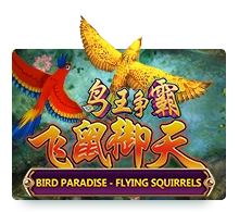 Bird Paradise - NEXTSLOT777